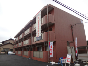 マンション（賃貸） Y&M アシュモ