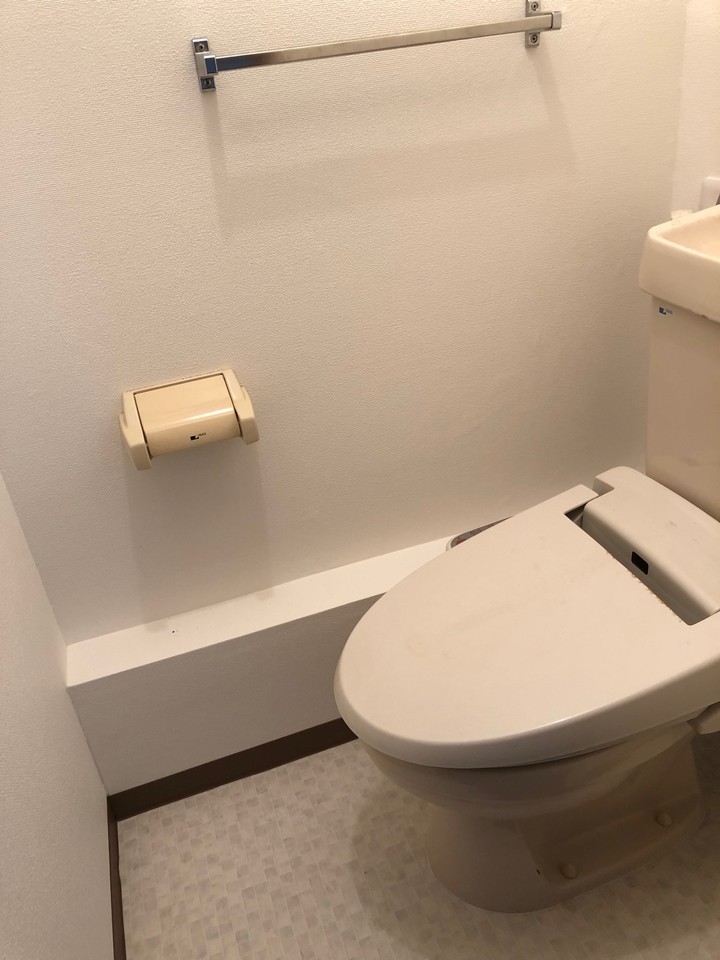 トイレはいつも綺麗に使おうね