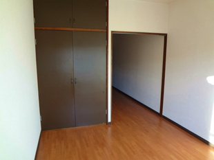 先程紹介した収納の上にも収納があった！