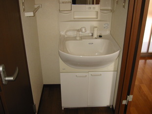 うれしい、シャワー洗面台＆独立脱衣所。