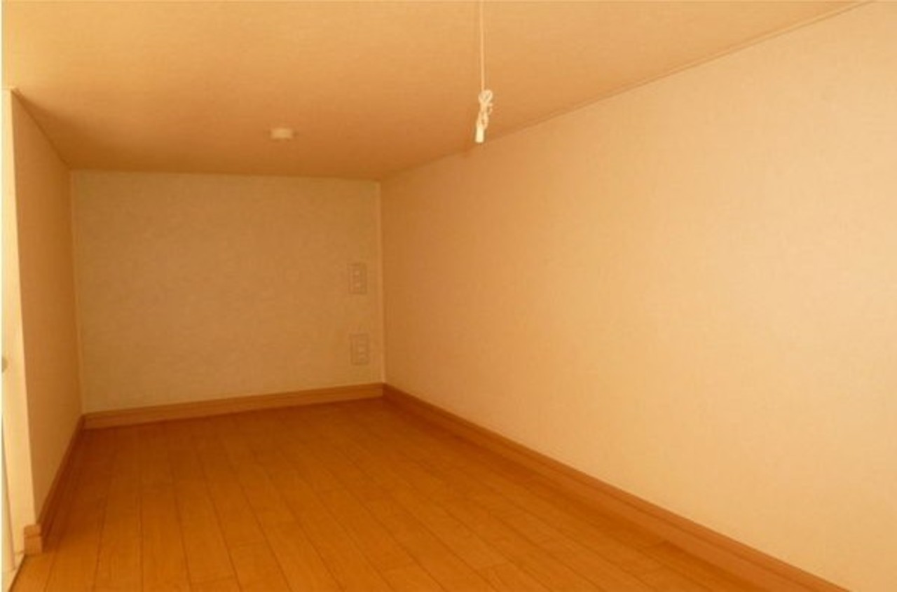 ロフト上部です。寝るならここで十分